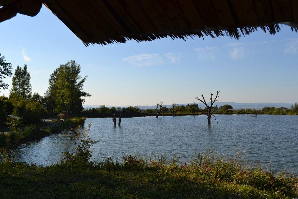 Balta Valea Morii Budila - 155904_100694713433866_1836541671_n.jpg